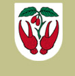 Drinov-Logo.jpg
