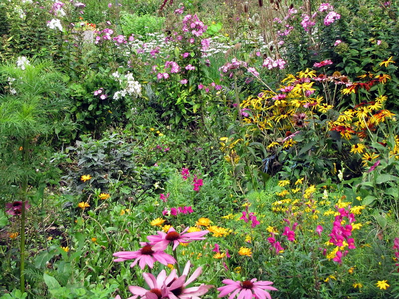 Datei:SG Blumen Blüte Vielfalt.jpg