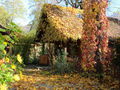SH Gartenhaus 21 Herbst.JPG