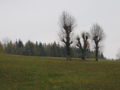 Vorschaubild der Version vom 12. April 2008, 15:20 Uhr
