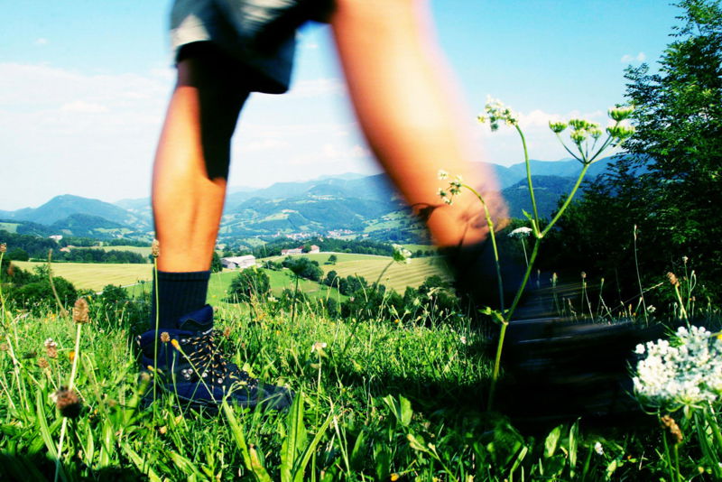 Datei:Wanderfüße DT WF.jpg