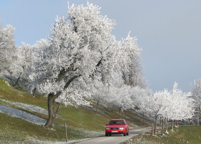 Datei:Zufahrt Gaisberg2.jpg