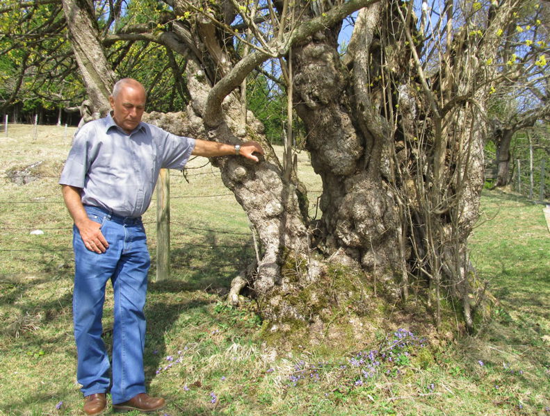 Datei:Eisenstein Dirndl.jpg