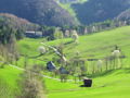 EST Frühling-Klaustal12 .jpg