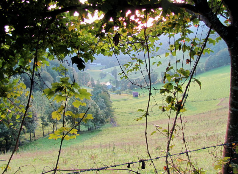 Datei:ESt Blick ins Klaustal.jpg