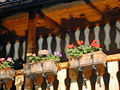 SH Innenhof Blumen Balustrade.jpg