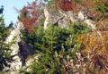 Loicher Felsen - Rehgraben1.jpg