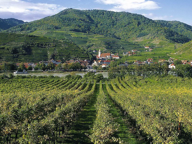 Datei:Blick auf Spitz -Wachau.jpg