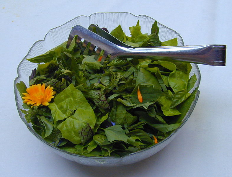 Datei:SH Wildkräutersalat2.jpg