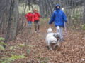 Herbst mit Hunden.jpg