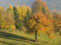 Herbstimmung Loich.jpg