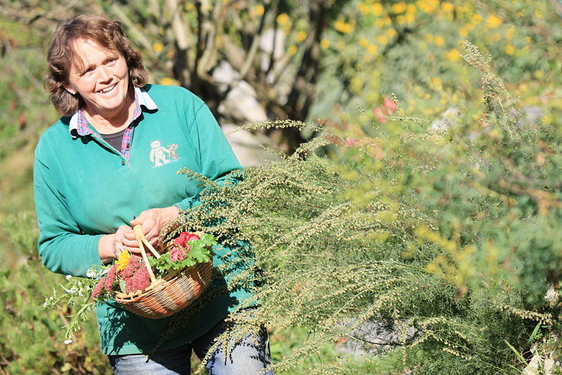 Datei:Frieda Körberl.jpg