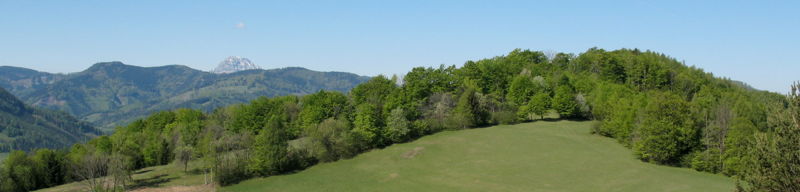 Datei:Loicheck Streifen.jpg