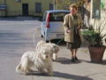 Vorschaubild der Version vom 27. Mai 2012, 04:52 Uhr