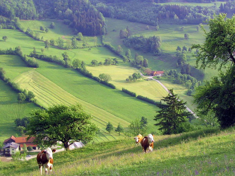 Datei:Kulturlanschaft Sommer Hofberg.jpg