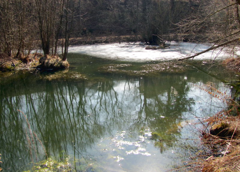 Datei:Steinschaler Teich Eisschmelze.jpg