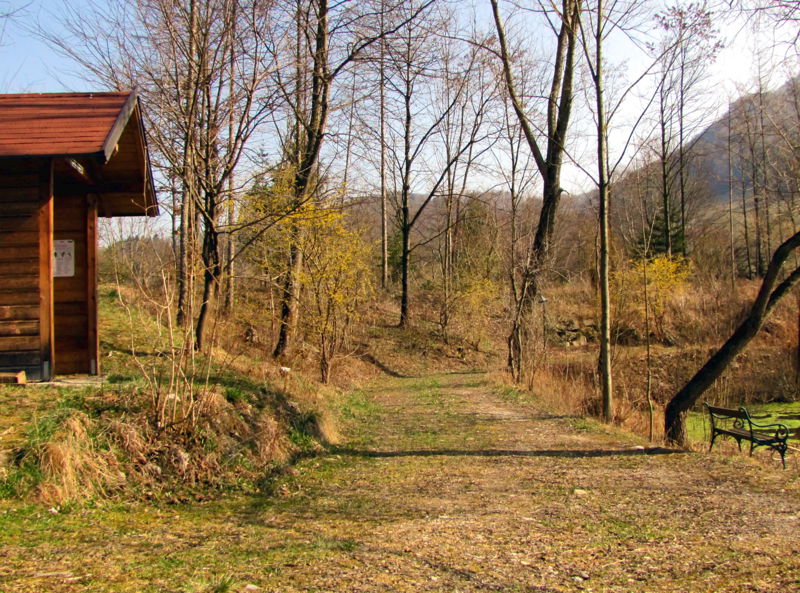 Datei:Teichweg Dirndlblüte.jpg