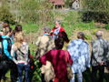 Vom Naturgarten zur K-Landschaft.jpg