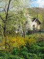 Vorschaubild der Version vom 25. April 2011, 16:30 Uhr