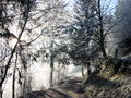 Vorschaubild der Version vom 7. Januar 2017, 10:44 Uhr