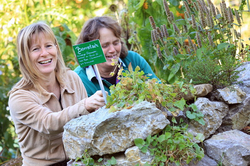 Datei:Frieda mit Gast.jpg
