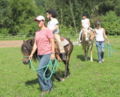 Kinder - Pferdewochen 2010.jpg