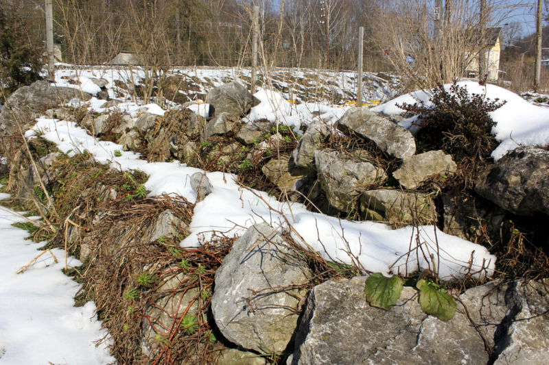 Datei:SG PG Kräuterspirale Winter.jpg