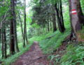 EST Waldweg.jpg