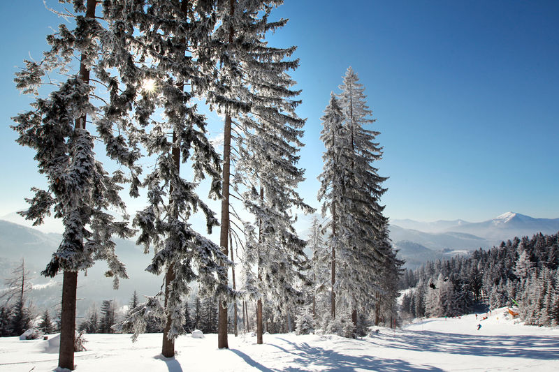 Datei:Winter wf15.jpg