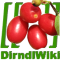 DirndlWiki Logo.png