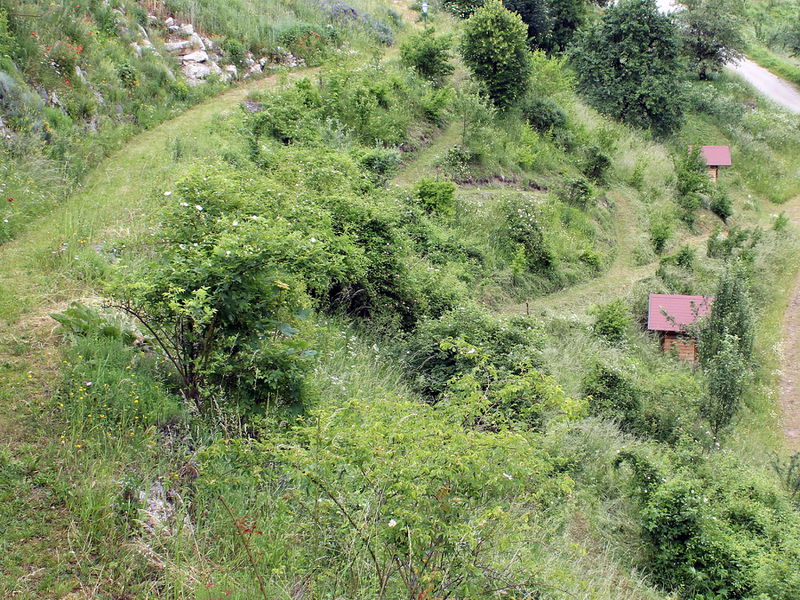 Datei:SD frühe Phase Dirndlsteig 2014 06.JPG
