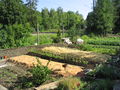 SH Prodgarten Mulch1.JPG