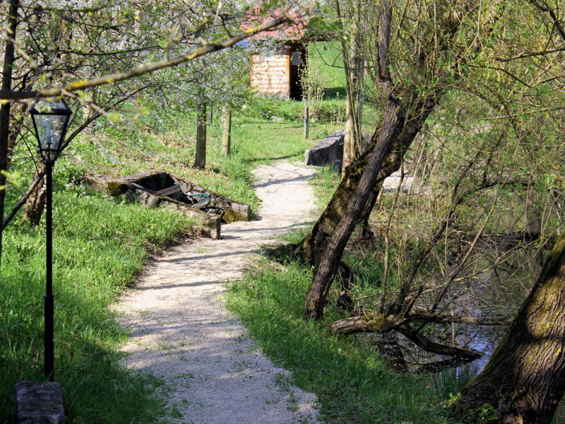 Datei:Steinschaler Teich Weg Frühling7.jpg