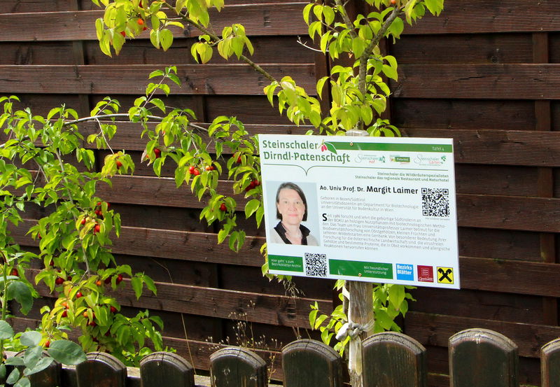 Datei:Laimer-Patendirndl Bahnhof.JPG