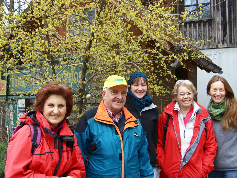 Datei:Dirndlblütenwanderung 2015.jpg
