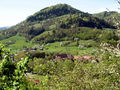 SH Blick auf den Fronberg vom HKW.jpg