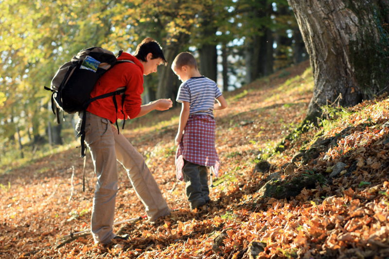 Datei:Kinder Wald.jpg