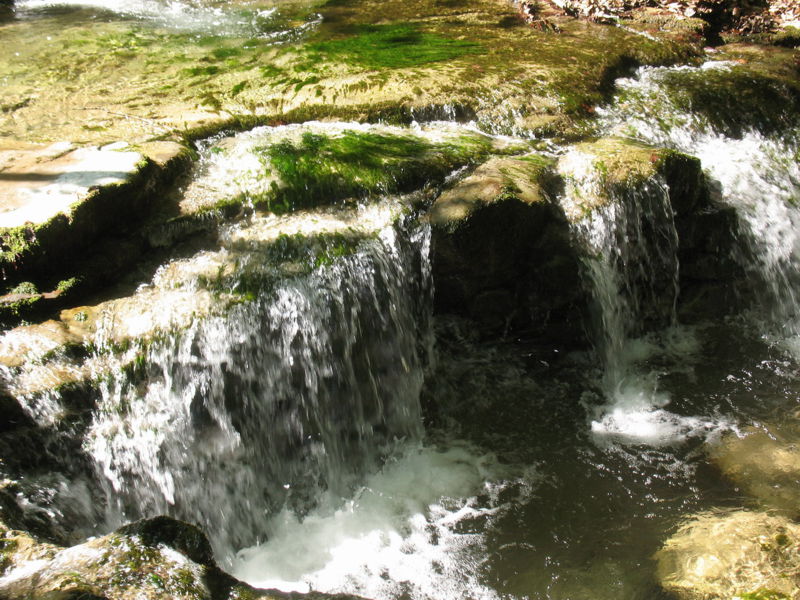 Datei:Soiserbach2 Sommer 2009.jpg