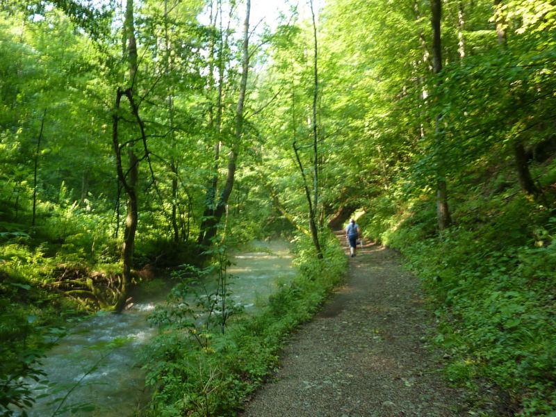 Datei:Weg Trefflingfall v Sulzbichl.jpg