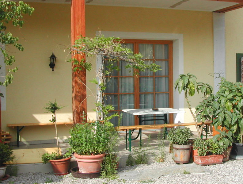 Datei:SH-Terrasse ZI24.jpg