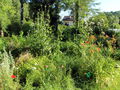 SG PG Naturgartenvielfalt Produktionsgarten.jpg