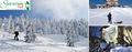 Schneeschuhwandern - Header 1800px.jpg