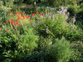 SG PG Blüten am Beundl.JPG