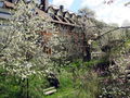 SH Südgarten Blüte Frühling.jpg