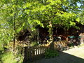 SG SH Vorgarten Teichhaus.JPG