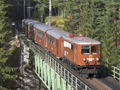 MZB Ötscher-Bär 2007-Ortner.jpg