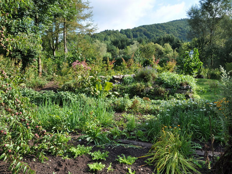 Datei:SG Prodgarten Vielfalt.jpg