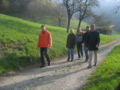 Morgenwanderung 2010.jpg