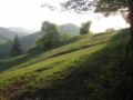 KL - Abendstimmung auf'm Dirndlweg.jpg