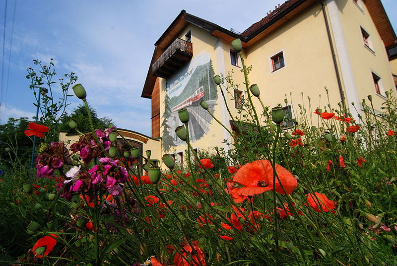 Datei:MZB-Bild mit Blumen.jpg